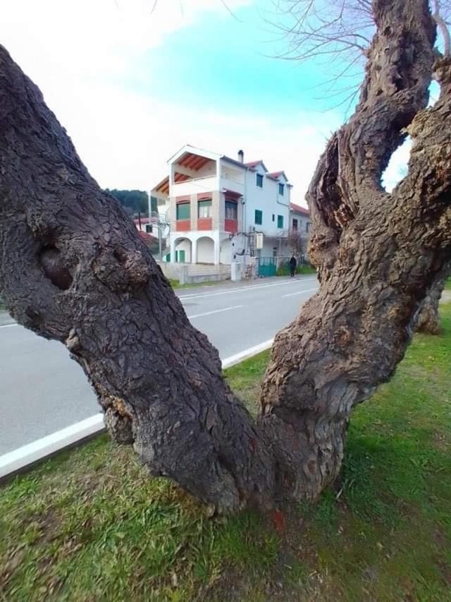Apartments Pulic スクラーディン エクステリア 写真
